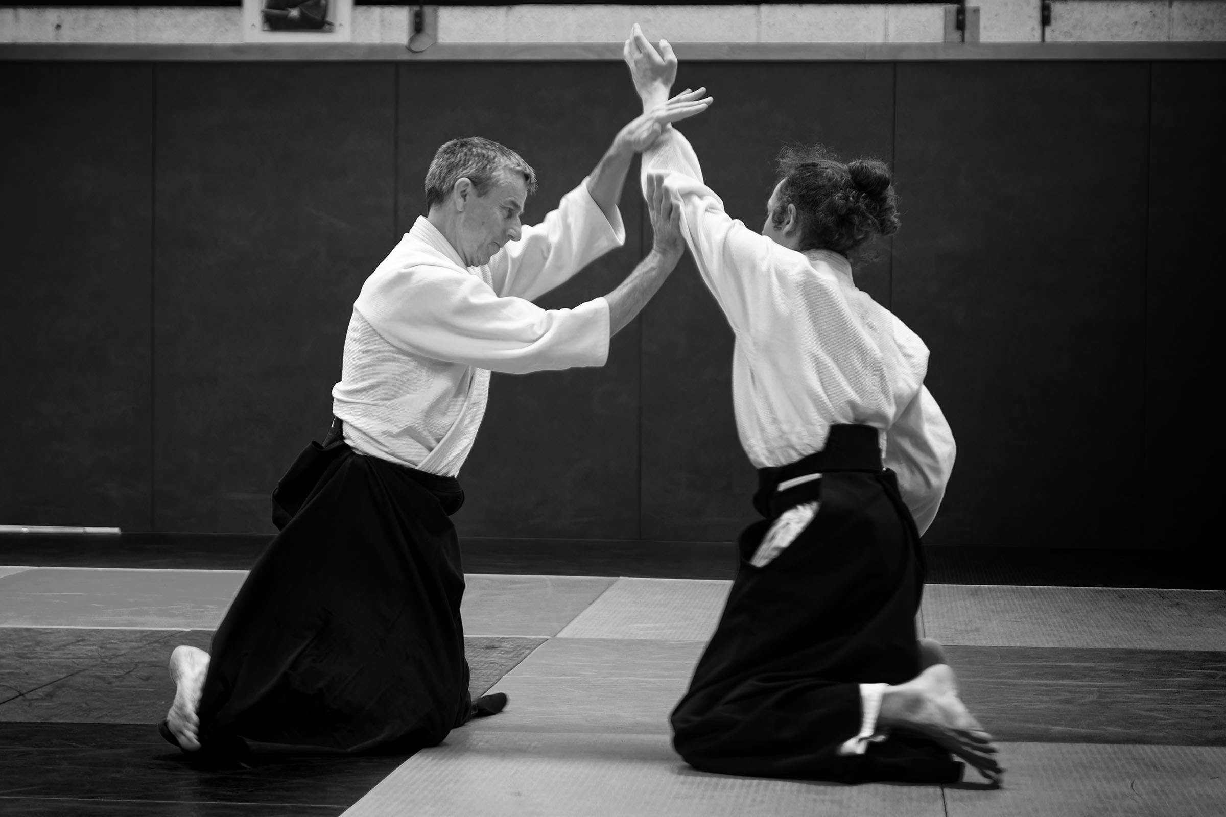Cours Aikido Nantes Métropole