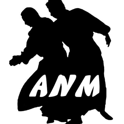 Aikido Nantes Metropole